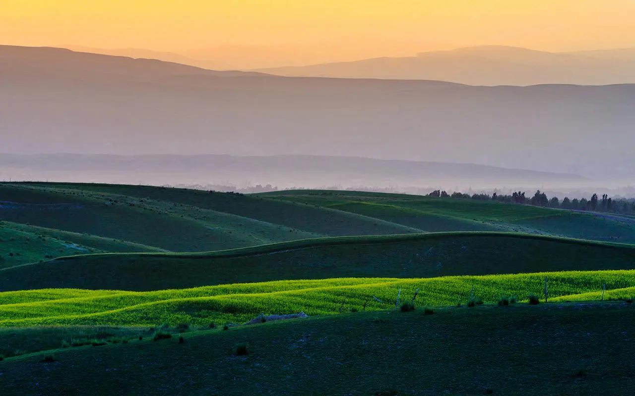 绿色精密稳定性